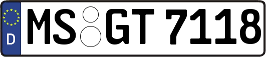 MS-GT7118