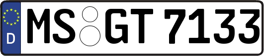 MS-GT7133