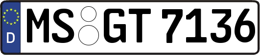 MS-GT7136