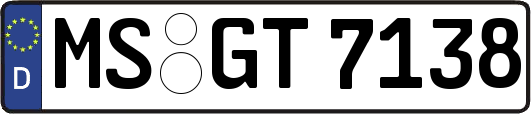 MS-GT7138