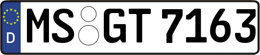 MS-GT7163
