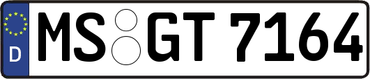 MS-GT7164