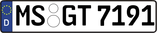 MS-GT7191