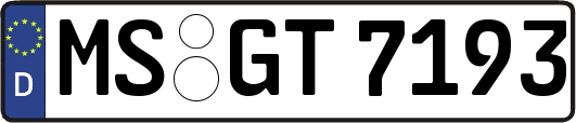 MS-GT7193