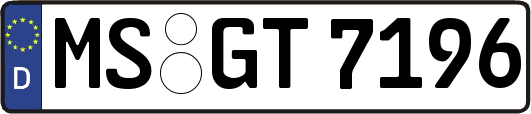 MS-GT7196