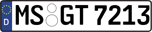 MS-GT7213