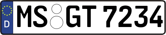 MS-GT7234