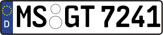 MS-GT7241