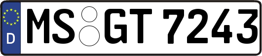 MS-GT7243