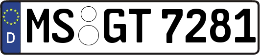 MS-GT7281