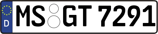 MS-GT7291