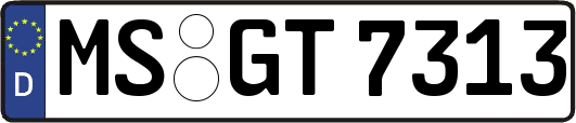 MS-GT7313