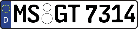 MS-GT7314