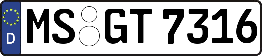 MS-GT7316