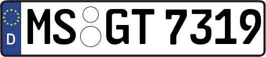 MS-GT7319