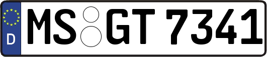 MS-GT7341