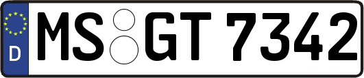 MS-GT7342