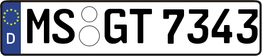 MS-GT7343