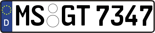 MS-GT7347