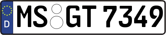 MS-GT7349