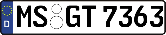 MS-GT7363