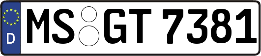 MS-GT7381