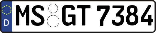 MS-GT7384