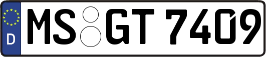 MS-GT7409