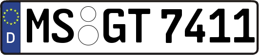 MS-GT7411