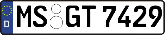 MS-GT7429
