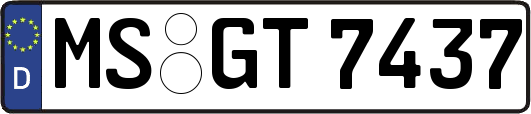 MS-GT7437