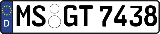 MS-GT7438