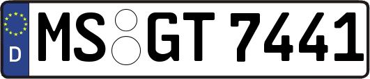MS-GT7441