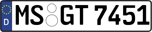 MS-GT7451