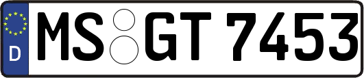 MS-GT7453
