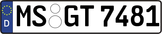 MS-GT7481