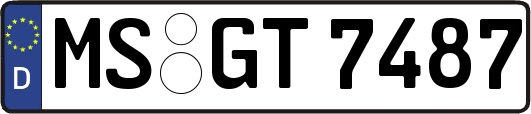 MS-GT7487