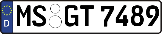 MS-GT7489