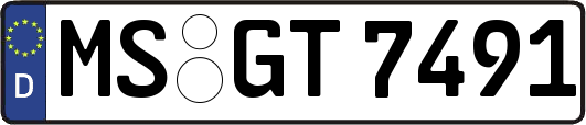 MS-GT7491