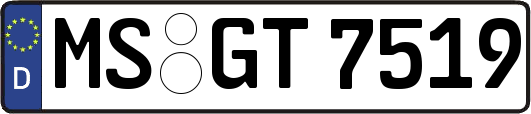 MS-GT7519