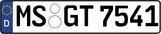 MS-GT7541