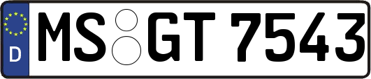 MS-GT7543