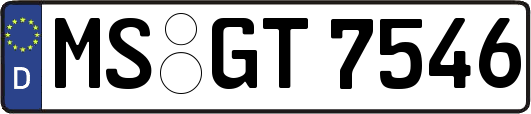 MS-GT7546