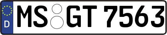 MS-GT7563