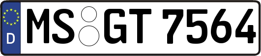 MS-GT7564