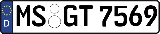 MS-GT7569