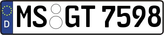 MS-GT7598