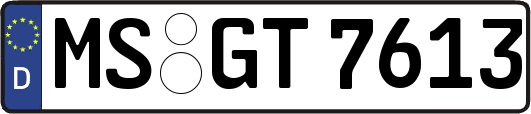MS-GT7613
