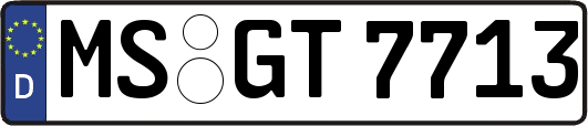 MS-GT7713