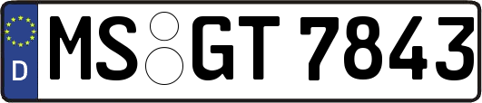 MS-GT7843